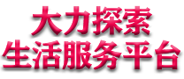 大力探索（杭州）科技有限公司